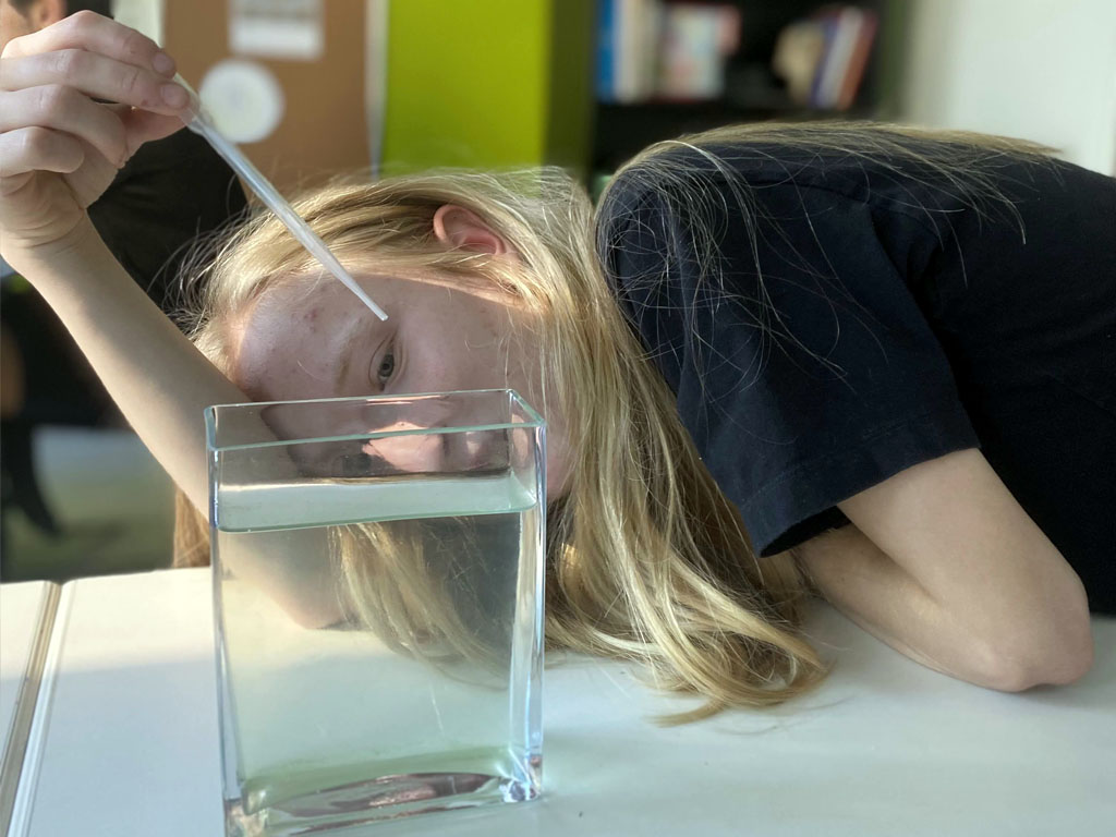 students explored the biotic and abiotic factors that influence ecosystems by hatching brine shrimp. They monitored salinity, water clarity, hatching rates, and temperature, collecting valuable data to understand how environmental conditions affect living organisms.