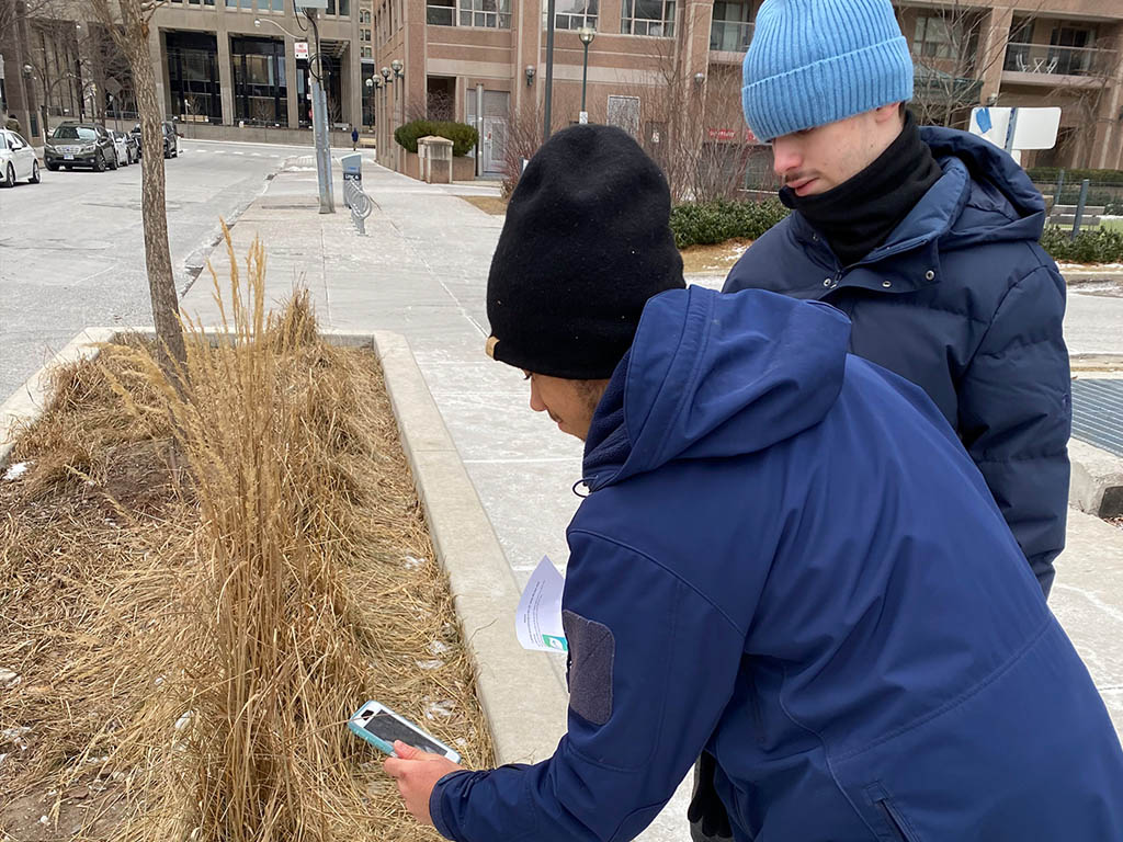 Grade 12 Sustainability Students Making the World a Better Place